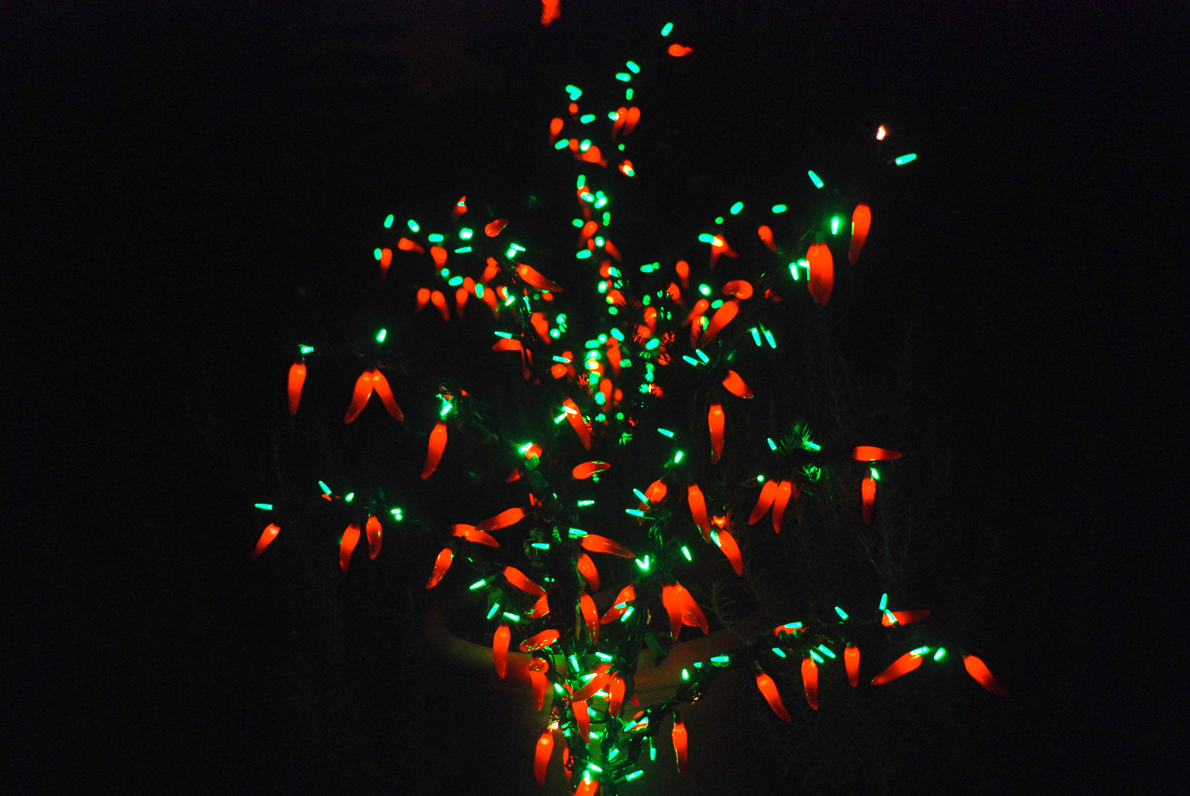 Jalapeno Pepper Tree Of Lights Pattern Me Mommy with regard to size 3872 X 2592