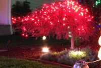 Japanese Maple Christmas Tree Bob Flickr throughout proportions 1024 X 768