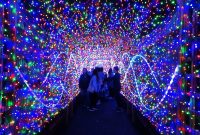 La Zoo Lights Highlights From 2017 Holiday Event At Los Angeles Zoo in sizing 1280 X 720