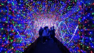 La Zoo Lights Highlights From 2017 Holiday Event At Los Angeles Zoo with measurements 1280 X 720