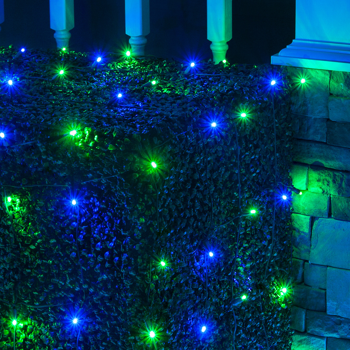 Led Net Lights 5mm 4 X 6 Led Net Lights 100 Blue Green Lamps throughout dimensions 1200 X 1200