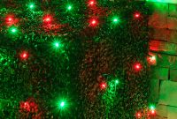 Led Net Lights 5mm 4 X 6 Red Green Led Net Lights Green Wire Christmas Lights Etc for proportions 1200 X 1200