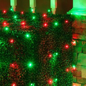 Led Net Lights 5mm 4 X 6 Red Green Led Net Lights Green Wire Christmas Lights Etc for proportions 1200 X 1200