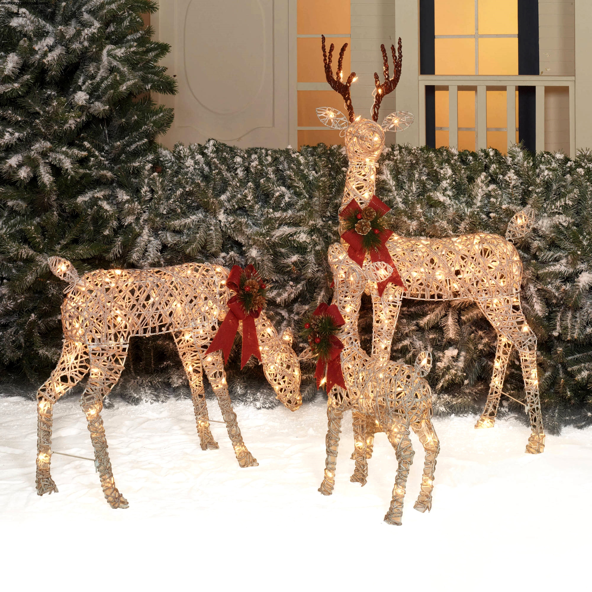 Lighted Christmas Deer Lawn Ornaments • Christmas Lights Ideas