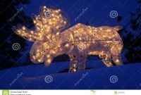 Lighted Moose At Christmas Stock Image Image Of Yard 38751857 inside measurements 1300 X 957