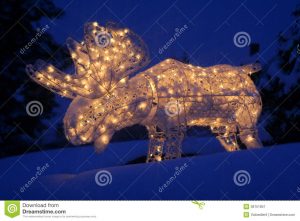 Lighted Moose At Christmas Stock Image Image Of Yard 38751857 inside measurements 1300 X 957