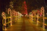 Lights Before Christmas Riverbanks Zoo X Mas in measurements 1500 X 996