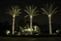 Lights On Medjool Date Palms Winter In Vegas Christmas Outdoor in sizing 1200 X 800