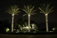 Lights On Medjool Date Palms Winter In Vegas Christmas Outdoor intended for dimensions 1200 X 800