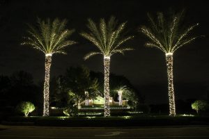 Lights On Medjool Date Palms Winter In Vegas Christmas Outdoor intended for dimensions 1200 X 800