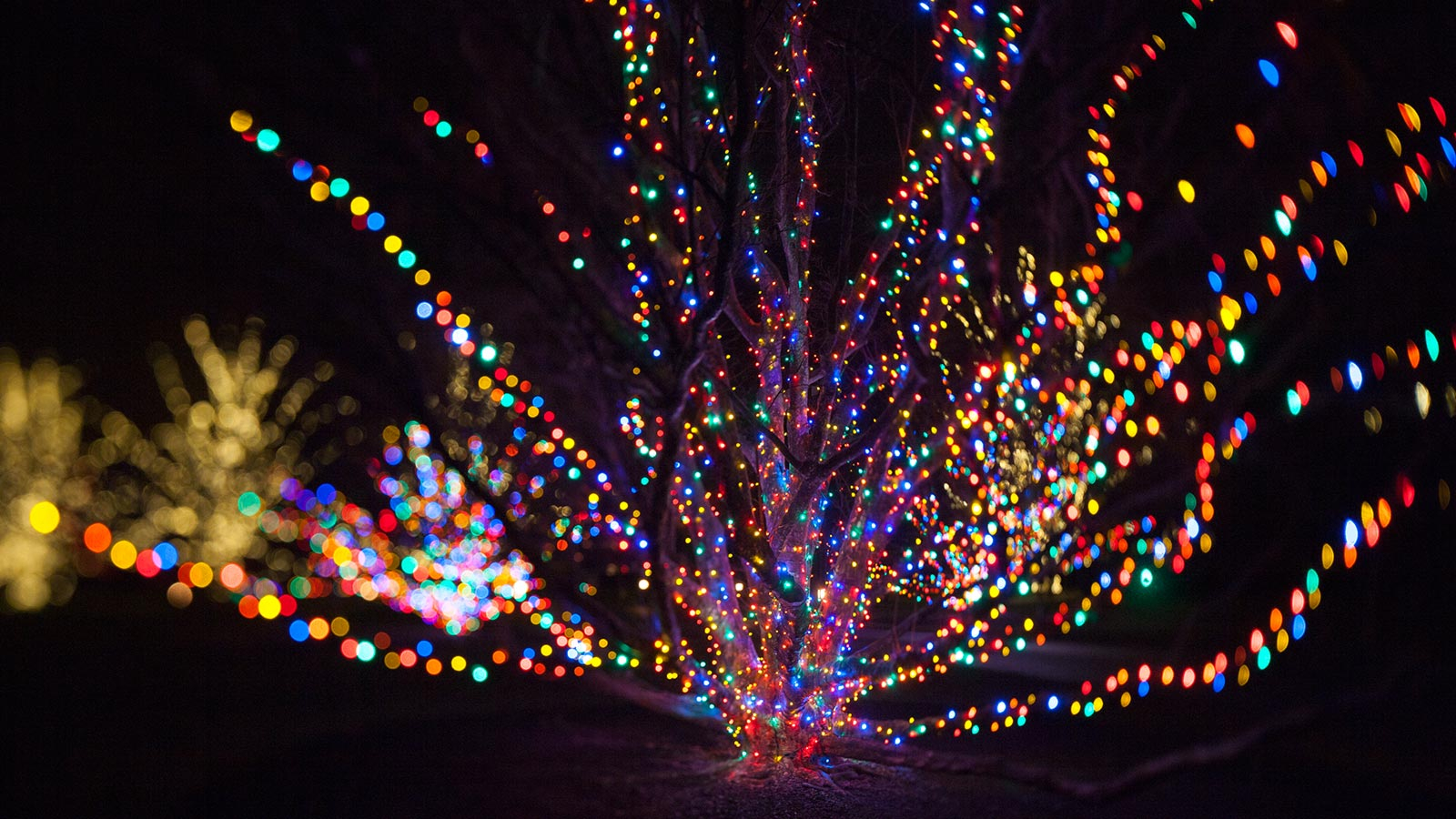 Longwood Gardens Christmas Lights Christmas Lights Ideas