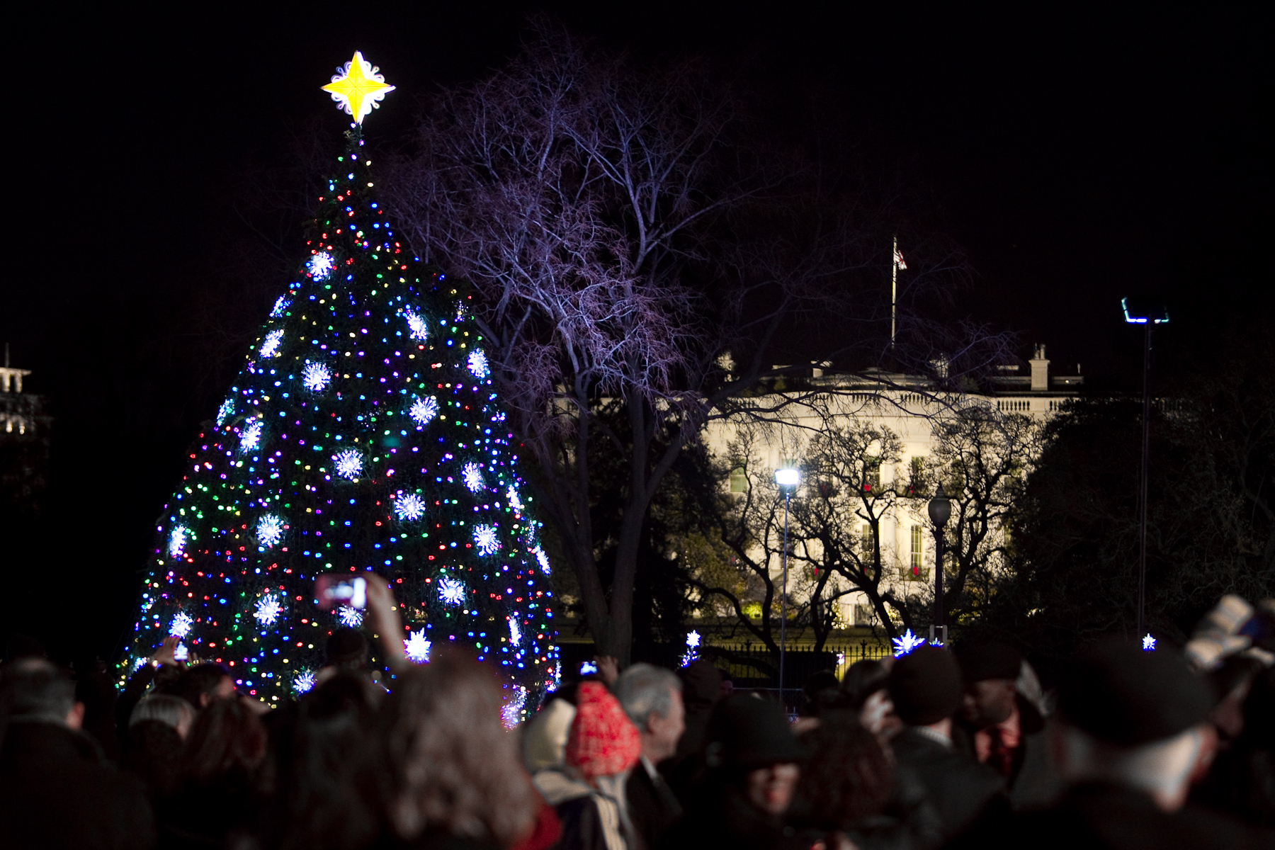 New Ge Sugar Plum Led Holiday Lights Unveiled On National Christmas inside size 1800 X 1200