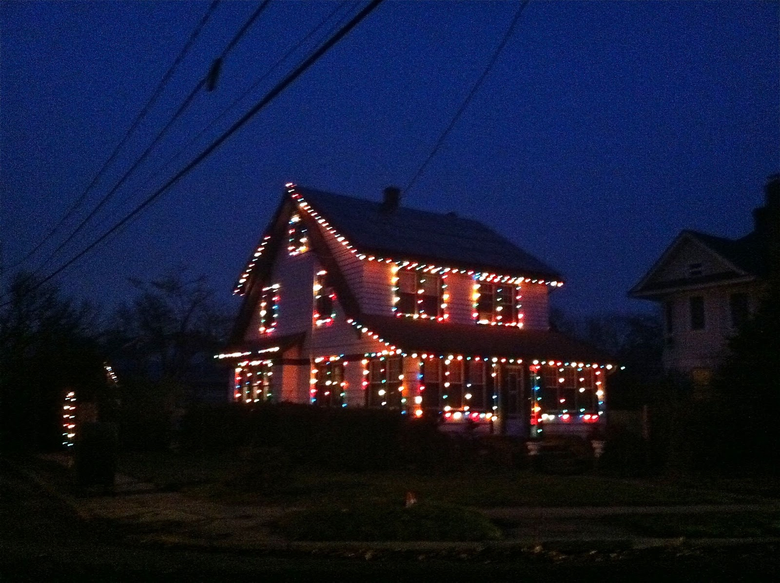 Old Fashioned Christmas Lights Long Island Daily Photo Lily intended for dimensions 1600 X 1195