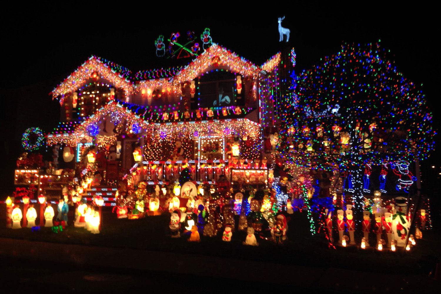 One Of The Competitors In Abcs The Great Christmas Light Fight Is regarding dimensions 1500 X 1000