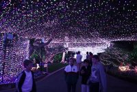 Outdoor Christmas Lights Australia Democraciaejustica regarding size 1920 X 1080