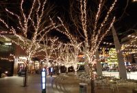 Outdoor Plaza Nighttime Scene With Skating Rink And Christmas Lights in proportions 4608 X 3456