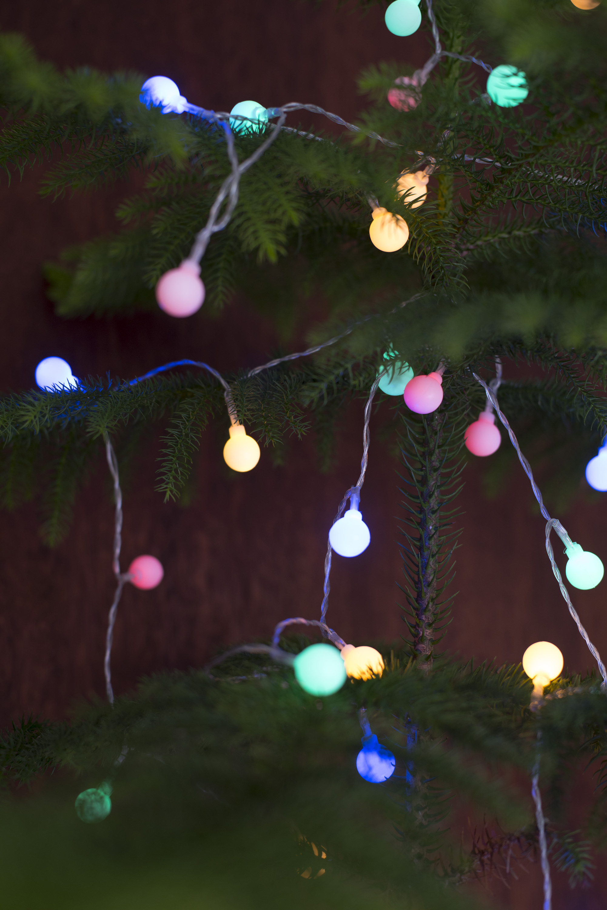 Photo Of Colorful Glowing Round Christmas Tree Lights Free throughout sizing 2002 X 3000