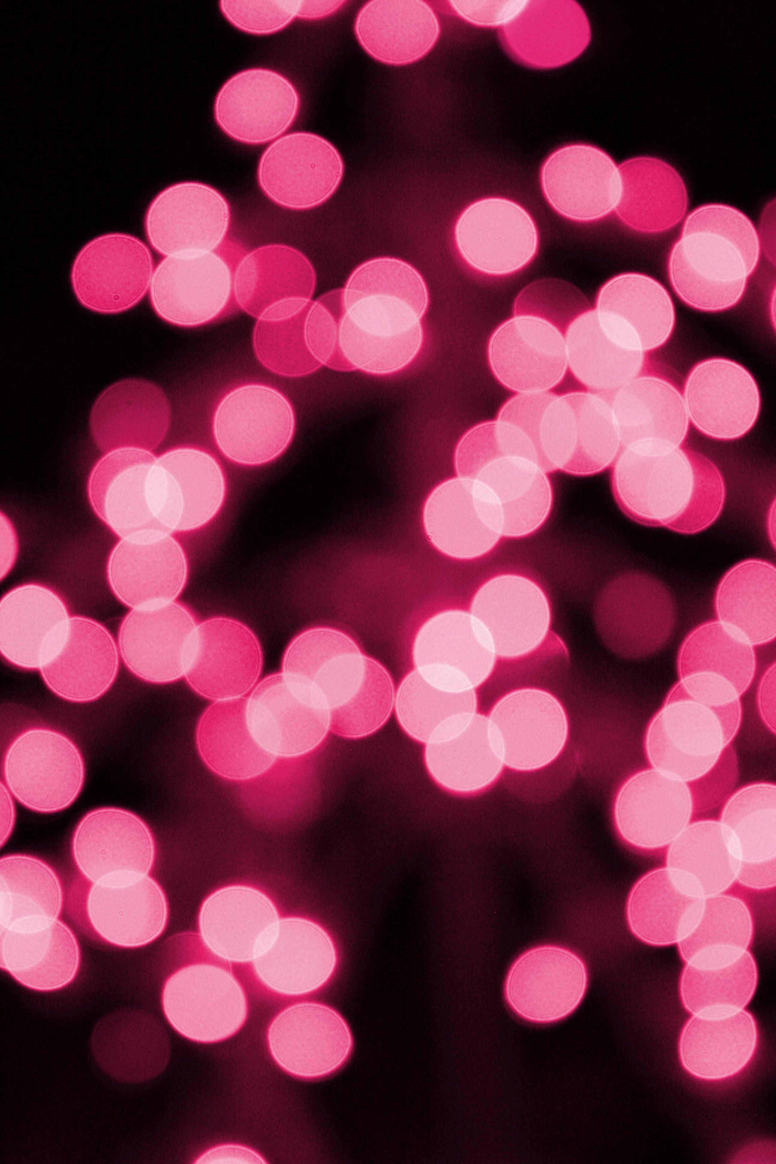 Pink Christmas Lights Picture Free Photograph Photos Public for dimensions 2592 X 3888