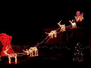 Reindeer Pulling Santas Sleigh Holiday Christmas Lights Photos pertaining to proportions 4608 X 3456