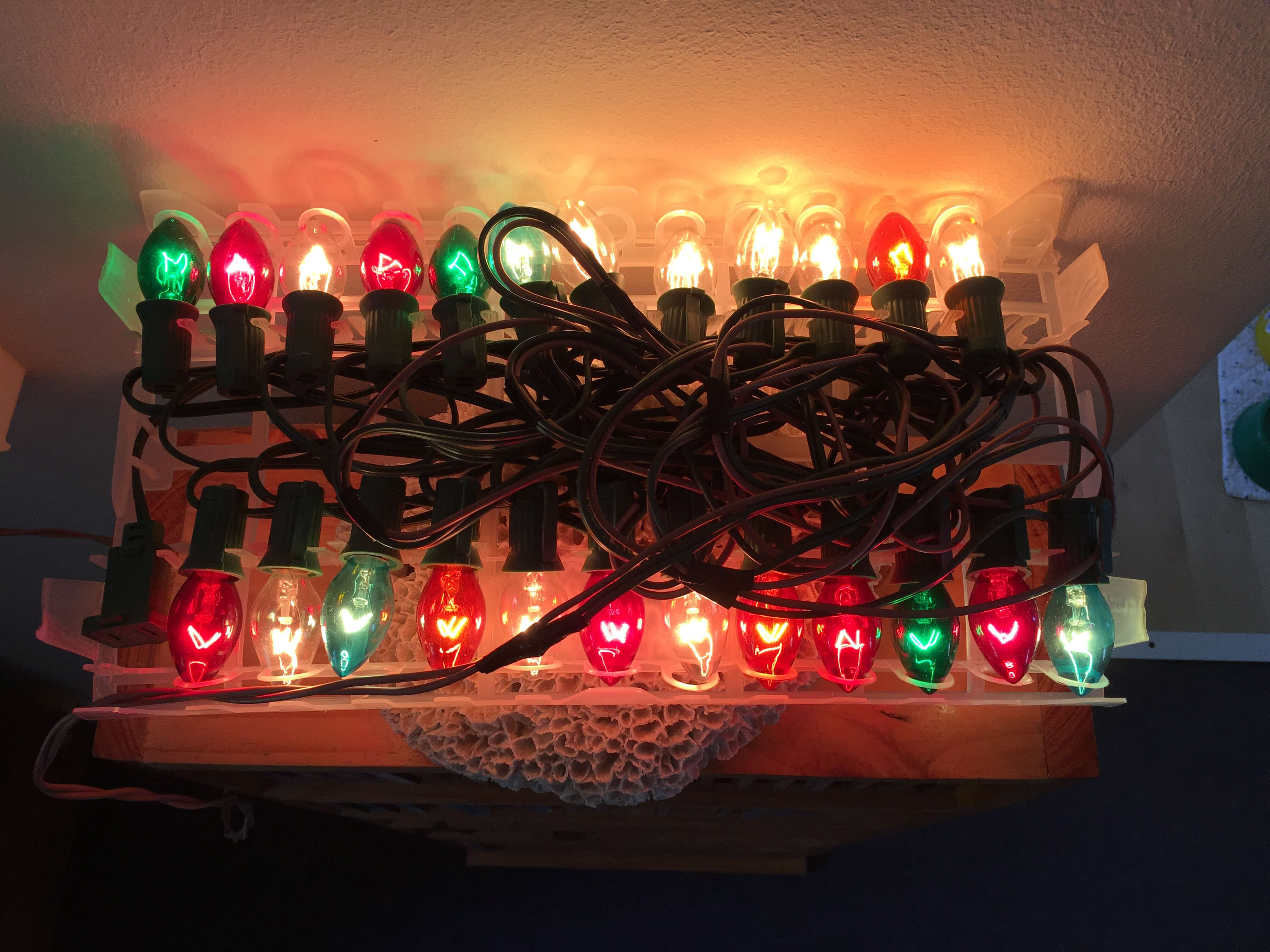 Running American C7c9 Christmas Lights 110v Directly On A 220v with size 4032 X 3024