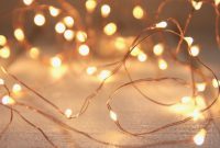 Seed Lights Copper Wire 5m Beautiful Seed Lights Are So Timeless in size 1024 X 1024