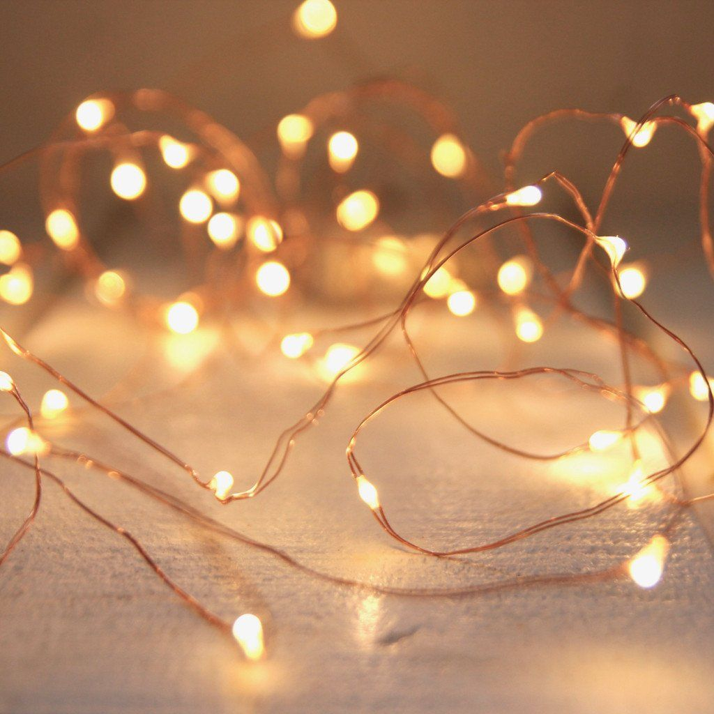 Seed Lights Copper Wire 5m Beautiful Seed Lights Are So Timeless in size 1024 X 1024