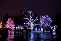 Toledo Zoo Lights Before Christmas 2012 Dancing Lights Display within sizing 1920 X 1080