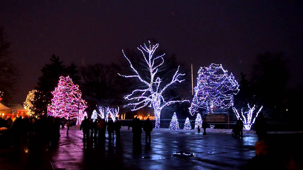 Toledo Zoo Lights Before Christmas 2012 Dancing Lights Display within sizing 1920 X 1080