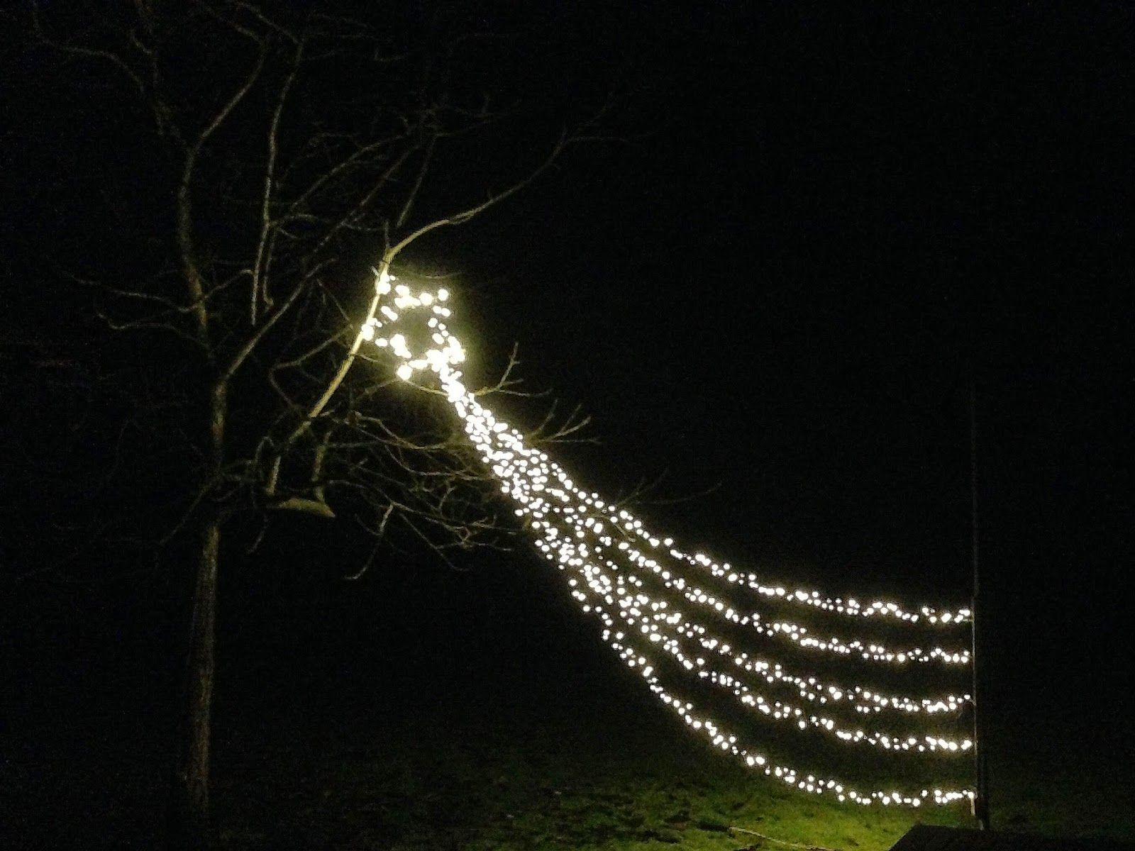 Shooting Star Christmas Light • Christmas Lights Ideas