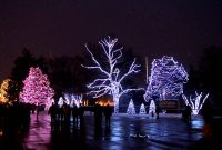 Vote For Your Very Own Toledo Zoo Lights Before Christmas Display intended for size 1920 X 1080