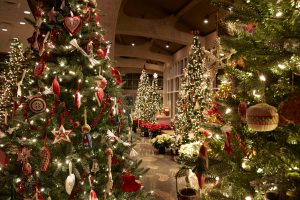 Walking In A Winter Wonderland At Frederik Meijer Gardens Grmag with regard to measurements 2400 X 1600