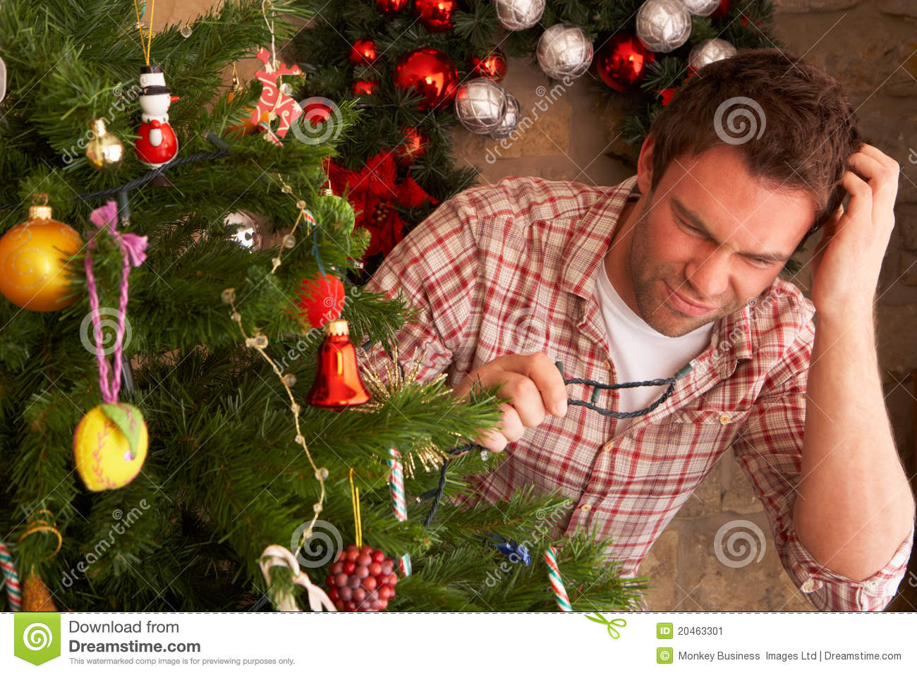 Young Man Trying To Fix Christmas Tree Lights Stock Image Image Of throughout proportions 1300 X 957